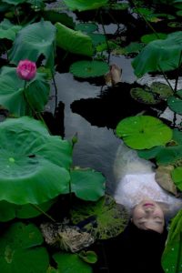 The Lotus Lake – Viet Ha Tran