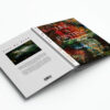 Signed Edition Art book "Like a Painting" - Image 2